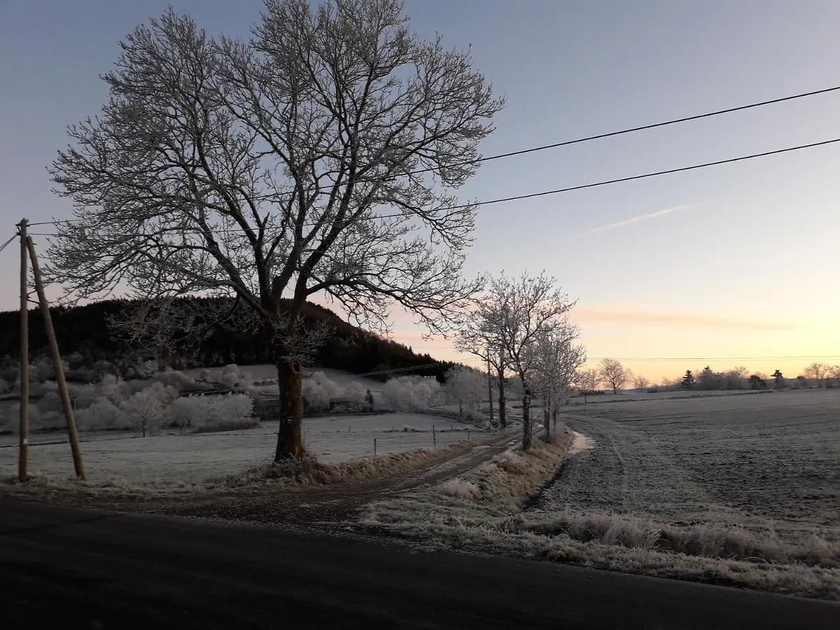 La Rose De Mortessagne Bed & Breakfast Saint-Julien-du-Pinet 0*,  France